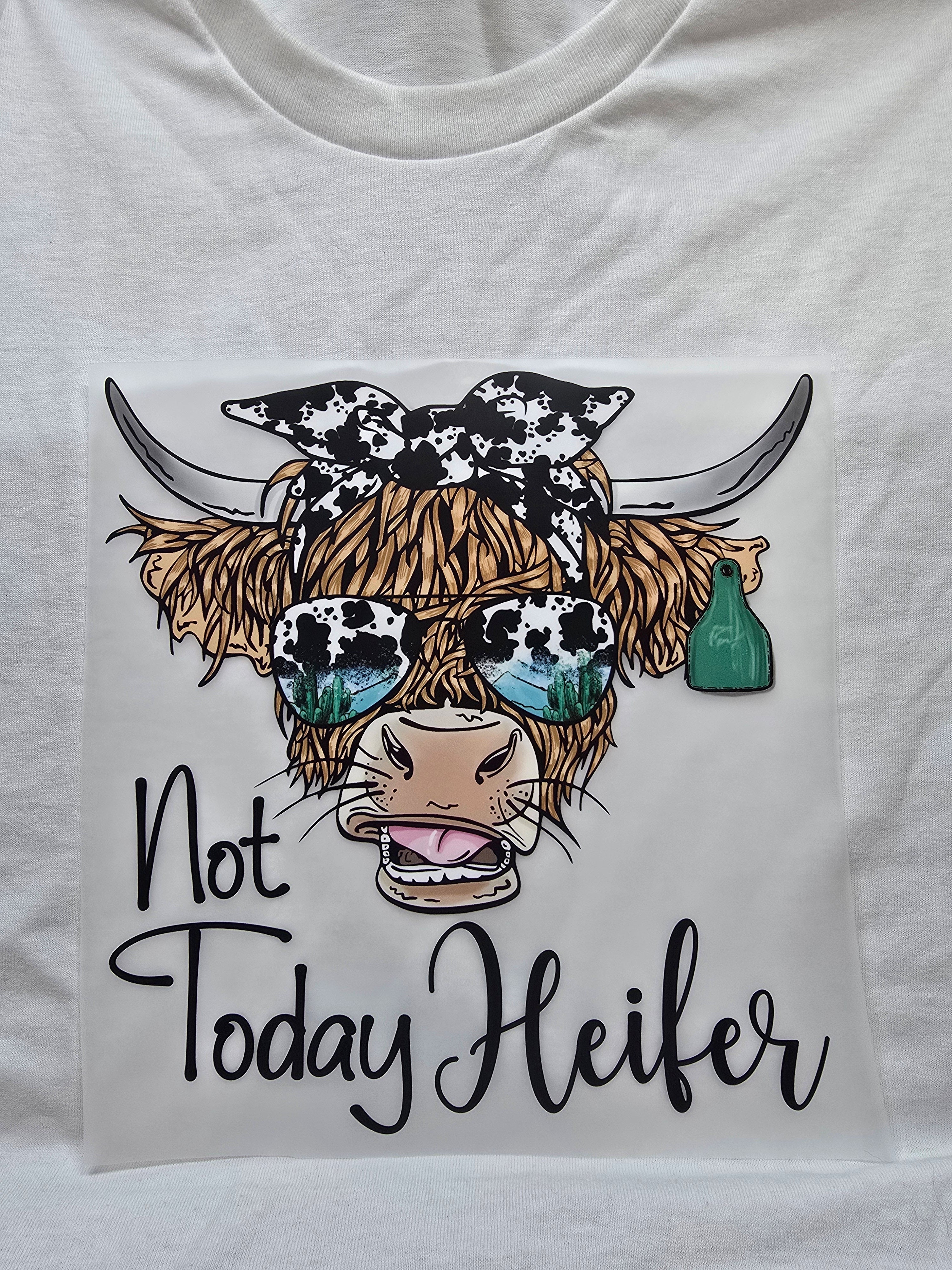 Not Today Heifer