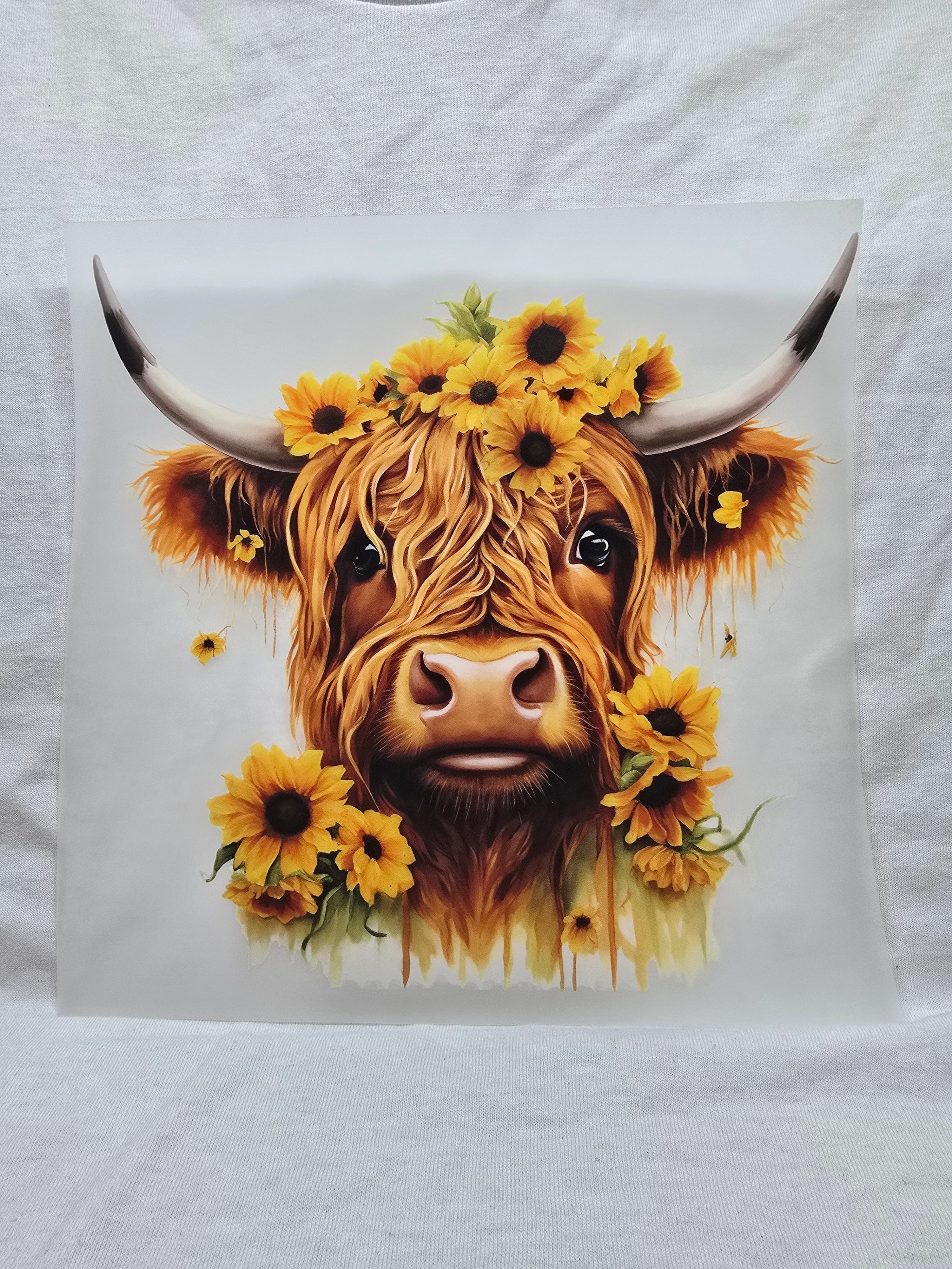 Sunflower Highland Cow