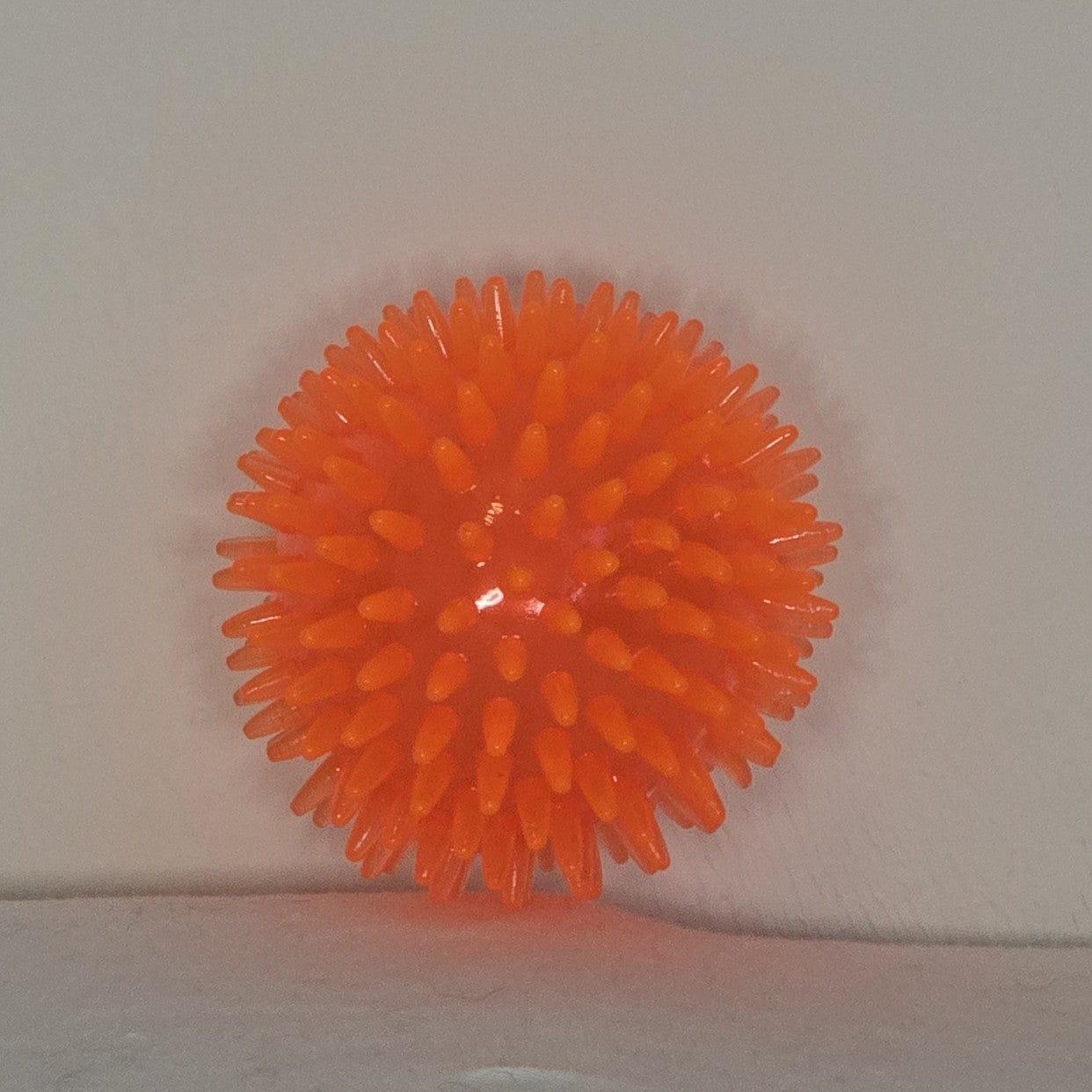 Small Dog/Puppy Toys