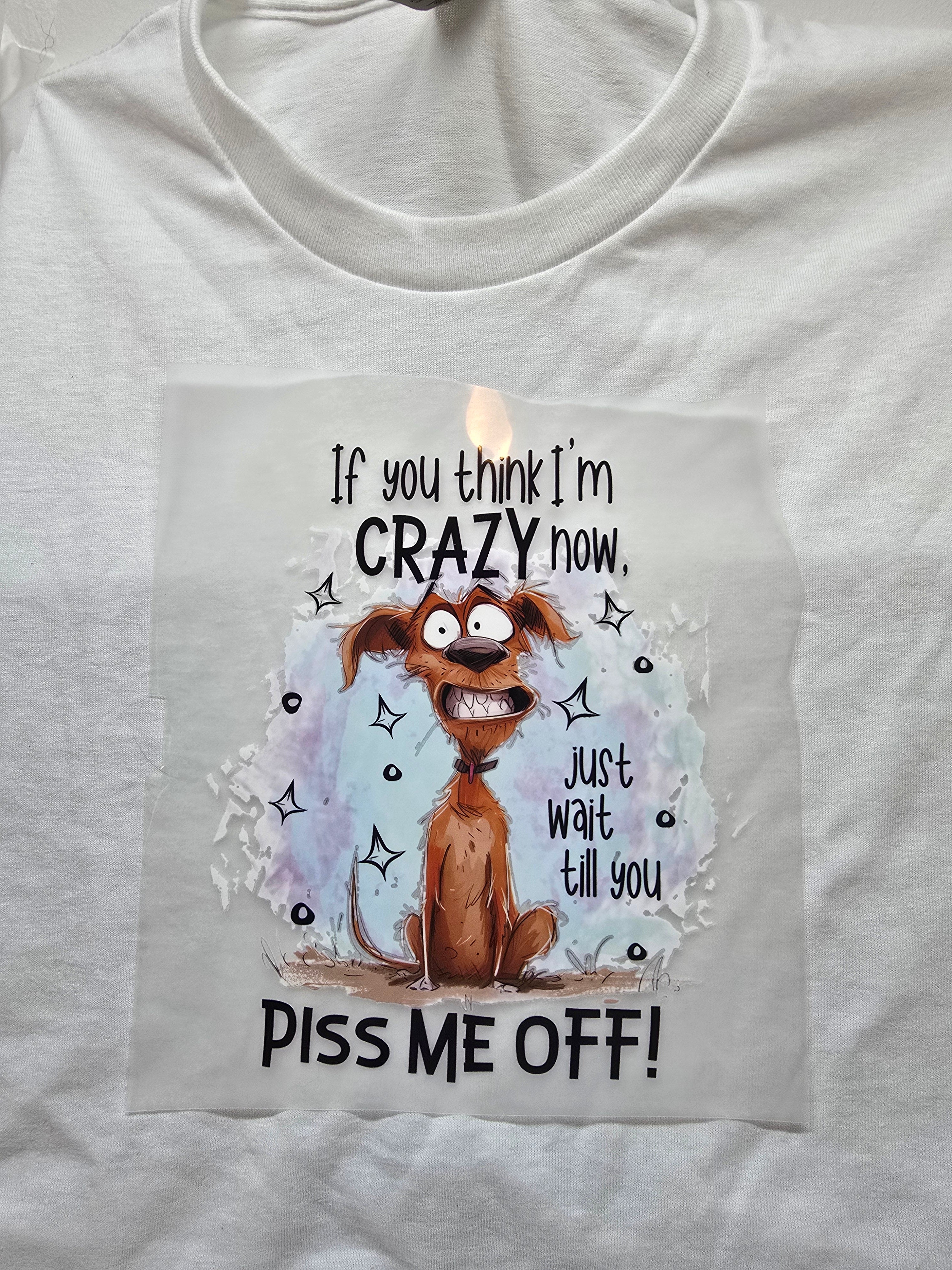 If You Think I'm Crazy Now...